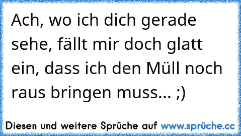 Ach, wo ich dich gerade sehe, fällt mir doch glatt ein, dass ich den Müll noch raus bringen muss... ;)