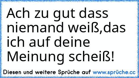 Ach zu gut dass niemand weiß,das ich auf deine Meinung scheiß!