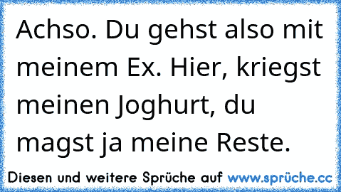 Achso. Du gehst also mit meinem Ex. Hier, kriegst meinen Joghurt, du magst ja meine Reste.