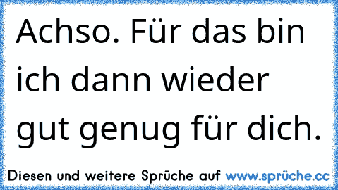 Achso. Für das bin ich dann wieder gut genug für dich.