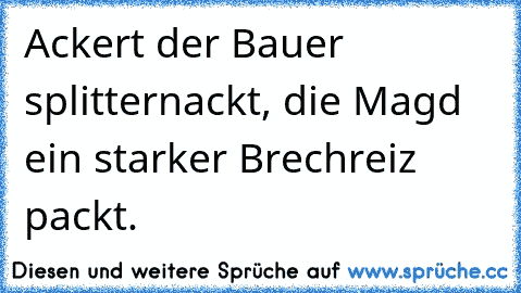 Ackert der Bauer splitternackt, die Magd ein starker Brechreiz packt.