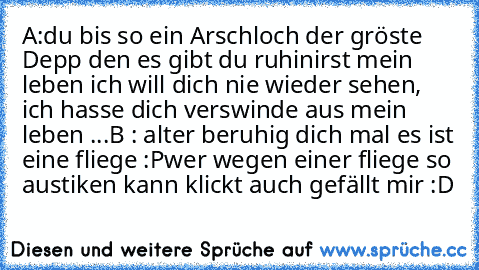 A:du bis so ein Arschloch der gröste Depp den es gibt du ruhinirst mein leben ich will dich nie wieder sehen, ich hasse dich verswinde aus mein leben ...
B : alter beruhig dich mal es ist eine fliege :P
wer wegen einer fliege so austiken kann klickt auch gefällt mir :D