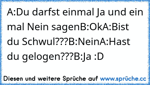 A:Du darfst einmal Ja und ein mal Nein sagen
B:Ok
A:Bist du Schwul???
B:Nein
A:Hast du gelogen???
B:Ja 
:D