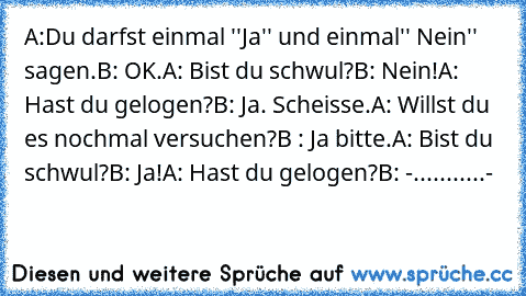 A:Du darfst einmal ''Ja'' und einmal'' Nein'' sagen.
B: OK.
A: Bist du schwul?
B: Nein!
A: Hast du gelogen?
B: Ja. Scheisse.
A: Willst du es nochmal versuchen?
B : Ja bitte.
A: Bist du schwul?
B: Ja!
A: Hast du gelogen?
B: -...........-