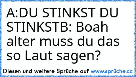 A:DU STINKST DU STINKST
B: Boah alter muss du das so Laut sagen?