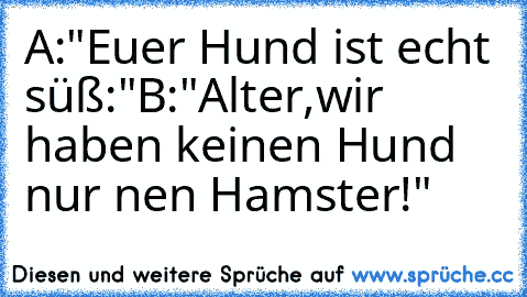 A:"Euer Hund ist echt süß:"
B:"Alter,wir haben keinen Hund nur nen Hamster!"