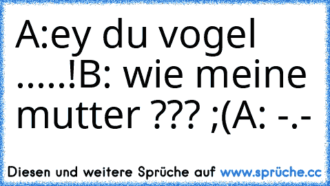 A:ey du vogel .....!
B: wie meine mutter ??? ;(
A: -.-