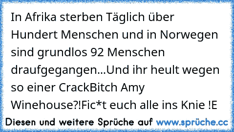 In Afrika sterben Täglich über Hundert Menschen und in Norwegen sind grundlos 92 Menschen draufgegangen...
Und ihr heult wegen so einer CrackBitch Amy Winehouse?!
Fic*t euch alle ins Knie !
®E