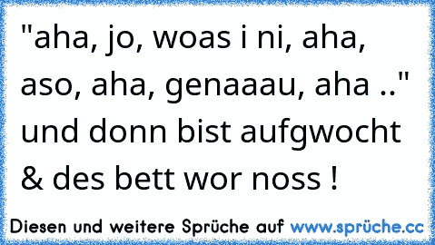 "aha, jo, woas i ni, aha, aso, aha, genaaau, aha .." und donn bist aufgwocht & des bett wor noss !