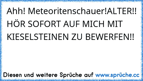 Ahh! Meteoritenschauer!
ALTER!! HÖR SOFORT AUF MICH MIT KIESELSTEINEN ZU BEWERFEN!!