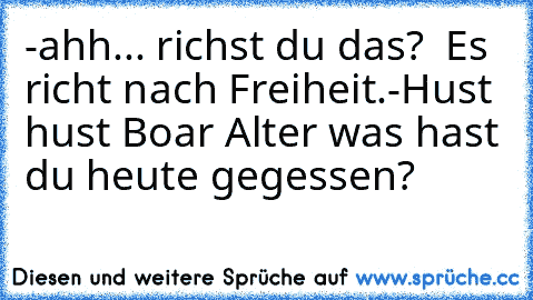 -ahh... richst du das?
  Es richt nach Freiheit.
-Hust hust
 Boar Alter was hast du heute gegessen?