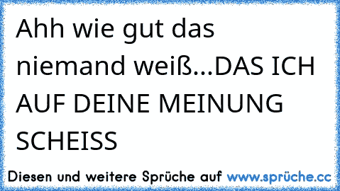 Ahh wie gut das niemand weiß
...DAS ICH AUF DEINE MEINUNG SCHEISS ♥