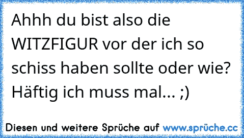 Ahhh du bist also die WITZFIGUR vor der ich so schiss haben sollte oder wie? Häftig ich muss mal... ;)