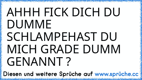 AHHH FICK DICH DU DUMME SCHLAMPE
HAST DU MICH GRADE DUMM GENANNT ?