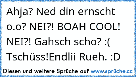 Ahja? Ned din ernscht o.o? NEI?! BOAH COOL! NEI?! Gahsch scho? :( Tschüss!
Endlii Rueh. :D