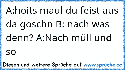 A:hoits maul du feist aus da goschn B: nach was denn? A:Nach müll und so