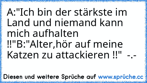 A:"Ich bin der stärkste im Land und niemand kann mich aufhalten !!"
B:"Alter,hör auf meine Katzen zu attackieren !!"  -.-