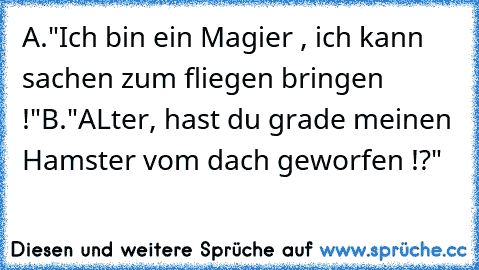 A."Ich bin ein Magier , ich kann sachen zum fliegen bringen !"
B."ALter, hast du grade meinen Hamster vom dach geworfen !?"