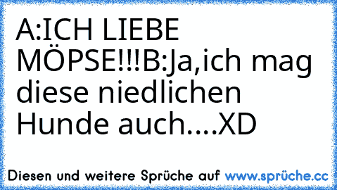 A:ICH LIEBE MÖPSE!!!
B:Ja,ich mag diese niedlichen Hunde auch....XD