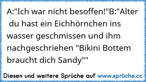 A:"Ich war nicht besoffen!"
B:"Alter  du hast ein Eichhörnchen ins wasser geschmissen und ihm nachgeschriehen "Bikini Bottem braucht dich Sandy""