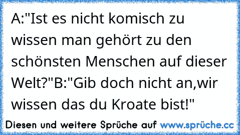 A:"Ist es nicht komisch zu wissen man gehört zu den schönsten Menschen auf dieser Welt?"
B:"Gib doch nicht an,wir wissen das du Kroate bist!"