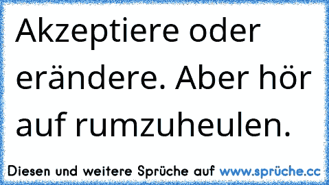 Akzeptiere oder erändere. Aber hör auf rumzuheulen.