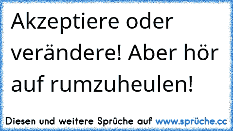 Akzeptiere oder verändere! Aber hör auf rumzuheulen!