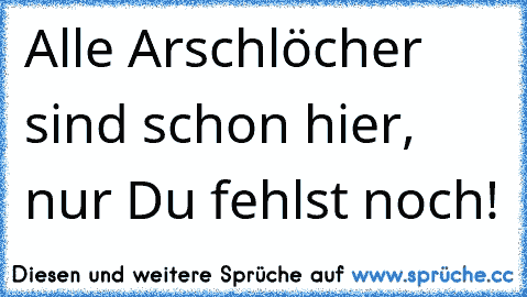 Alle Arschlöcher sind schon hier, nur Du fehlst noch!