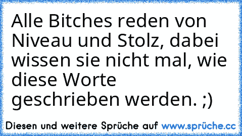 Alle Bitches reden von Niveau und Stolz, dabei wissen sie nicht mal, wie diese Worte geschrieben werden. ;)