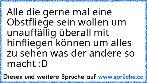 Alle die gerne mal eine Obstfliege sein wollen um unauffällig überall mit hinfliegen können um alles zu sehen was der andere so macht :D