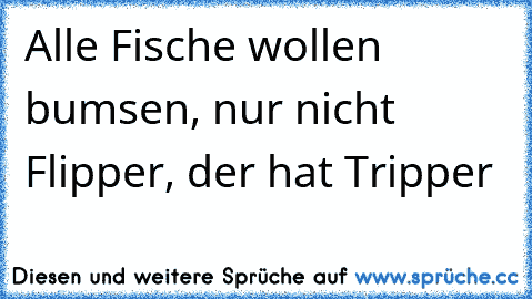 Alle Fische wollen bumsen, nur nicht Flipper, der hat Tripper