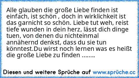 Alle glauben die große Liebe finden ist einfach, ist schön , doch in wirklichkeit ist das garnicht so schön. Liebe tut weh, reist tiefe wunden in dein herz, lässt dich dinge tuen, von denen du nichteinmal  annähernd denkst, dass du sie tun könntest.
Du wirst noch lernen was es heißt die große Liebe zu finden ........