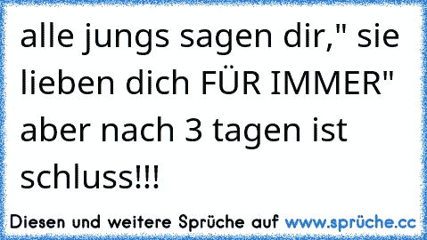 alle jungs sagen dir," sie lieben dich FÜR IMMER" aber nach 3 tagen ist schluss!!!