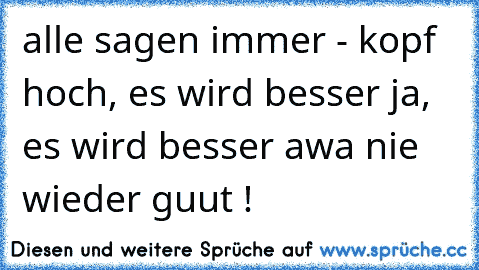 alle sagen immer - kopf hoch, es wird besser ja, es wird besser awa nie wieder guut !