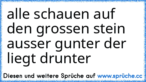 alle schauen auf den grossen stein ausser gunter der liegt drunter