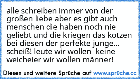 alle schreiben immer von der großen liebe aber es gibt auch menschen die haben noch nie geliebt und die kriegen das kotzen bei diesen der perfekte junge... scheiß! leute wir wollen  keine weicheier wir wollen männer!