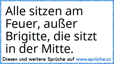 Alle sitzen am Feuer, außer Brigitte, die sitzt in der Mitte.