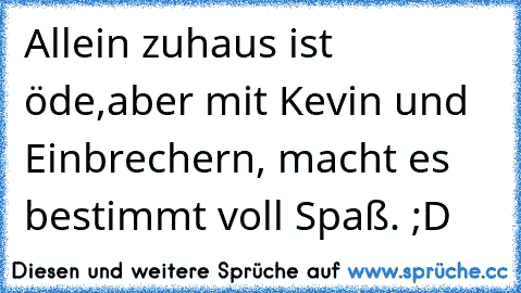 Allein zuhaus ist öde,
aber mit Kevin und Einbrechern,
 macht es bestimmt voll Spaß. ;D