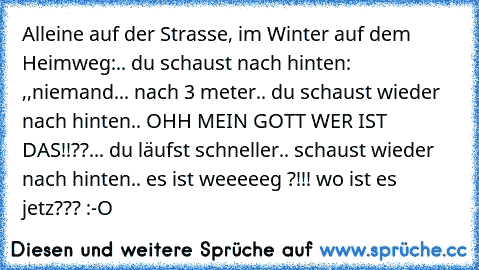 Alleine auf der Strasse, im Winter auf dem Heimweg:.. du schaust nach hinten: ,,niemand... nach 3 meter.. du schaust wieder nach hinten.. OHH MEIN GOTT WER IST DAS!!??... du läufst schneller.. schaust wieder nach hinten.. es ist weeeeeg ?!!! wo ist es jetz??? :-O