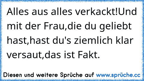 Alles aus alles verkackt!Und mit der Frau,die du geliebt hast,hast du's ziemlich klar versaut,das ist Fakt.