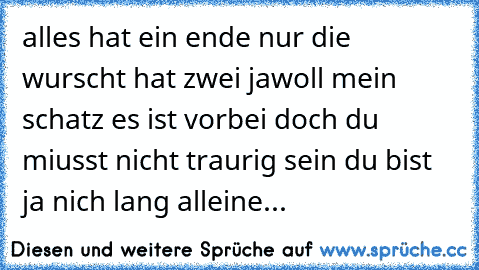 alles hat ein ende nur die wurscht hat zwei jawoll mein schatz es ist vorbei doch du miusst nicht traurig sein du bist ja nich lang alleine...
♥♥