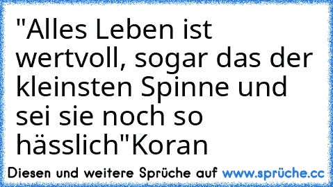 "Alles Leben ist wertvoll, sogar das der kleinsten Spinne und sei sie noch so hässlich"
Koran