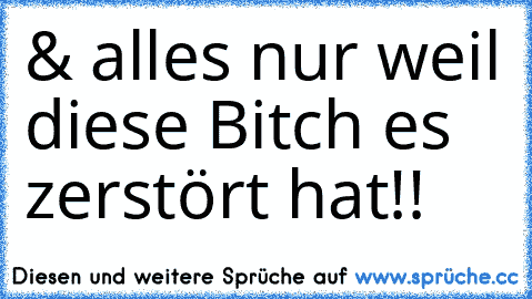 & alles nur weil diese Bitch es zerstört hat!!