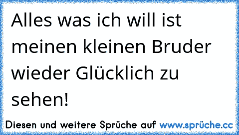 Alles was ich will ist meinen kleinen Bruder wieder Glücklich zu sehen!