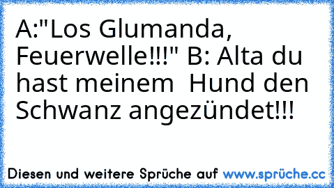 A:"Los Glumanda, Feuerwelle!!!" B: Alta du hast meinem  Hund den Schwanz angezündet!!!