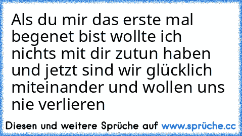 Als du mir das erste mal begenet bist wollte ich nichts mit dir zutun haben und jetzt sind wir glücklich miteinander und wollen uns nie verlieren ♥