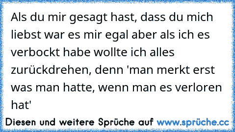 Als du mir gesagt hast, dass du mich liebst war es mir egal aber als ich es verbockt habe wollte ich alles zurückdrehen, denn 'man merkt erst was man hatte, wenn man es verloren hat'