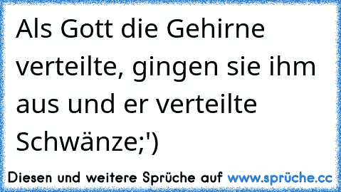 Als Gott die Gehirne verteilte, gingen sie ihm aus und er verteilte Schwänze;')