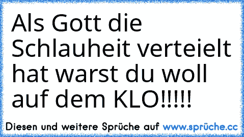 Als Gott die Schlauheit verteielt hat warst du woll auf dem KLO!!!!!