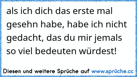 als ich dich das erste mal gesehn habe, habe ich nicht gedacht, das du mir jemals so viel bedeuten würdest!♥